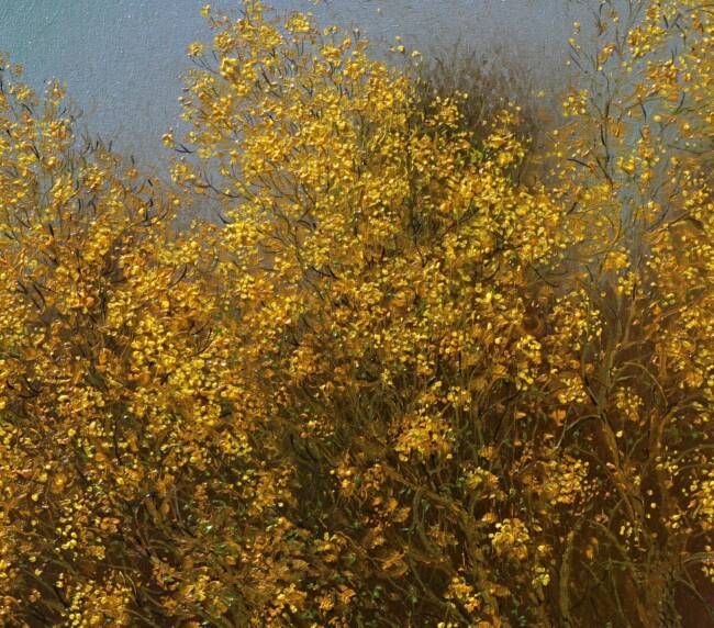 tabebuia aurea